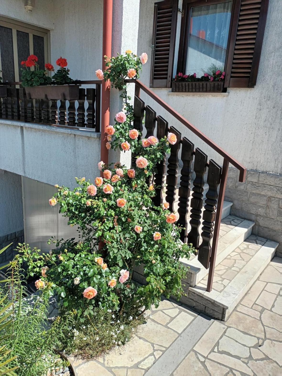Apartment Peric